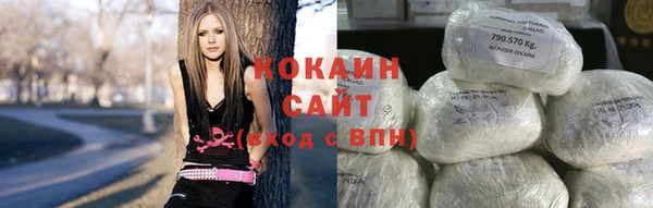 винт Пересвет