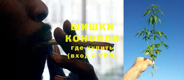 трава Пестово