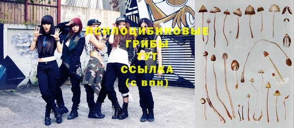 винт Пересвет