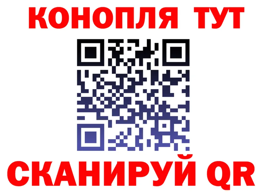 МЯУ-МЯУ мука вход площадка блэк спрут Красный Кут